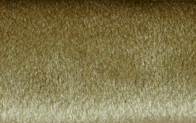PALAZZO - 030