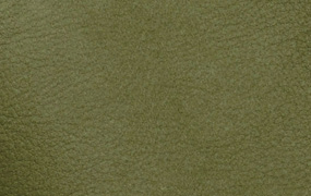 Sequoia 4017