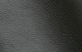 Seta 71179