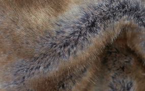 Synthetic fur blue fox Z339