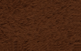 GELTRUDE - 110