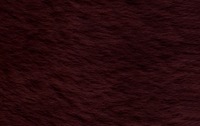 GELTRUDE - 530