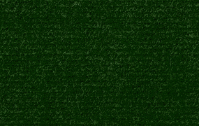 AUGUSTA - 38