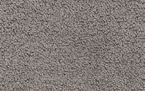 BEAR - 403