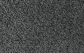 BEAR - 605