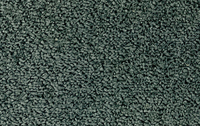 BEAR - 802
