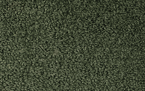 BEAR - 803