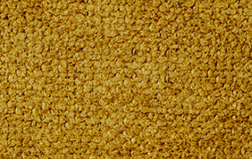 VICTORIA - 501